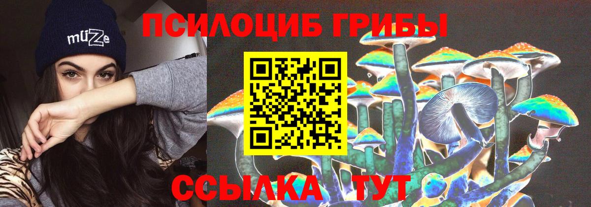 Псилоцибиновые грибы MAGIC MUSHROOMS  Вход с VPN  где продают   Губкинский 